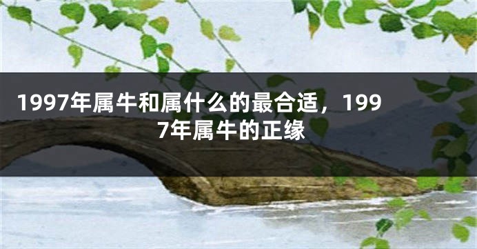 1997年属牛和属什么的最合适，1997年属牛的正缘