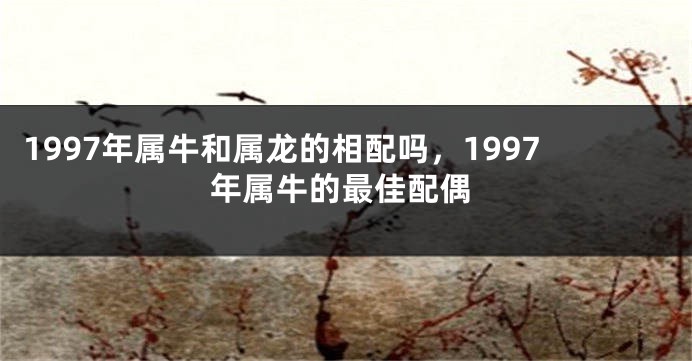 1997年属牛和属龙的相配吗，1997年属牛的最佳配偶