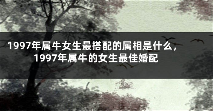 1997年属牛女生最搭配的属相是什么，1997年属牛的女生最佳婚配