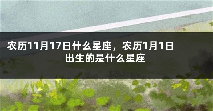 农历11月17日什么星座，农历1月1日出生的是什么星座