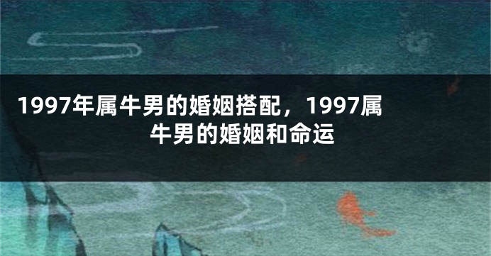 1997年属牛男的婚姻搭配，1997属牛男的婚姻和命运