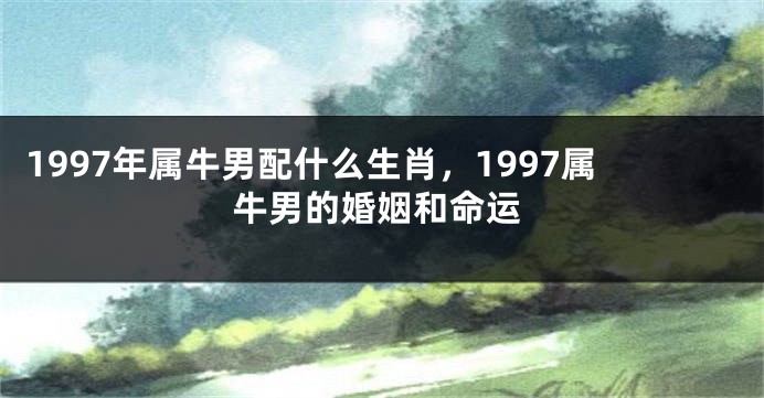 1997年属牛男配什么生肖，1997属牛男的婚姻和命运