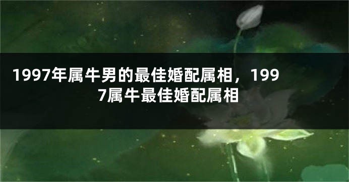 1997年属牛男的最佳婚配属相，1997属牛最佳婚配属相