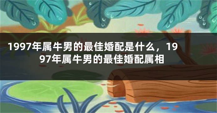 1997年属牛男的最佳婚配是什么，1997年属牛男的最佳婚配属相