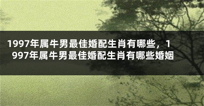 1997年属牛男最佳婚配生肖有哪些，1997年属牛男最佳婚配生肖有哪些婚姻
