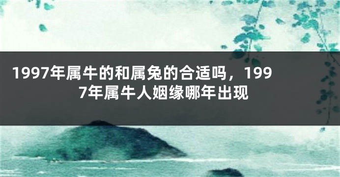 1997年属牛的和属兔的合适吗,1997年属牛人姻缘哪年出现