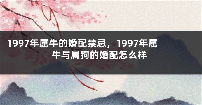 1997年属牛的婚配禁忌，1997年属牛与属狗的婚配怎么样