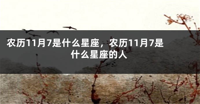 农历11月7是什么星座，农历11月7是什么星座的人