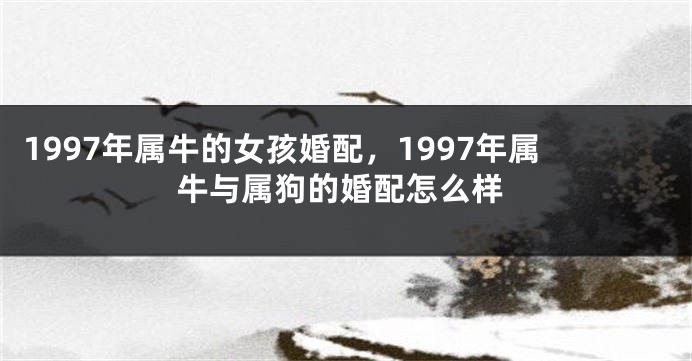 1997年属牛的女孩婚配，1997年属牛与属狗的婚配怎么样