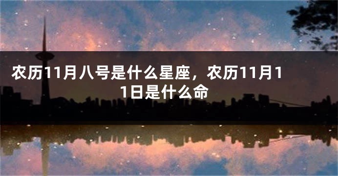 农历11月八号是什么星座，农历11月11日是什么命