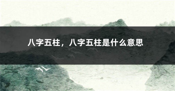 八字五柱,八字五柱是什么意思