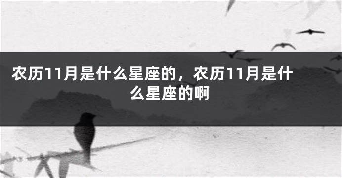 农历11月是什么星座的，农历11月是什么星座的啊