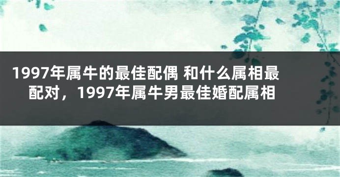 1997年属牛的最佳配偶 和什么属相最配对，1997年属牛男最佳婚配属相