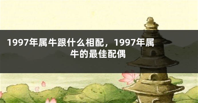 1997年属牛跟什么相配，1997年属牛的最佳配偶