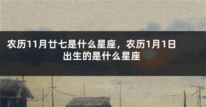 农历11月廿七是什么星座，农历1月1日出生的是什么星座