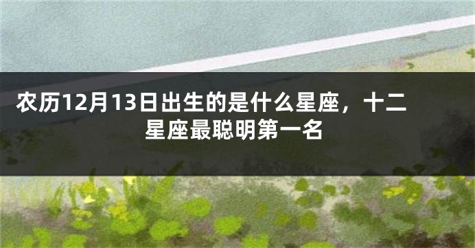 农历12月13日出生的是什么星座，十二星座最聪明第一名
