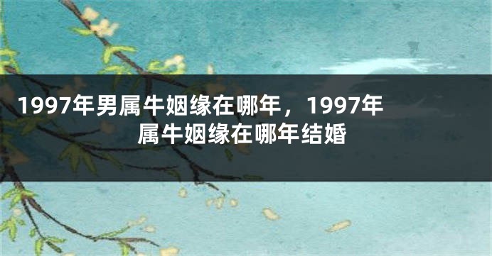 1997年男属牛姻缘在哪年，1997年属牛姻缘在哪年结婚