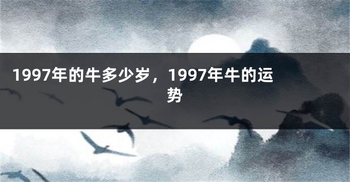 1997年的牛多少岁，1997年牛的运势