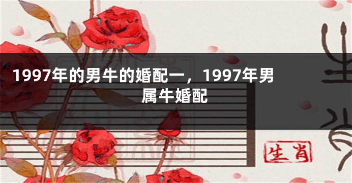 1997年的男牛的婚配一，1997年男属牛婚配