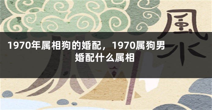 1970年属相狗的婚配，1970属狗男婚配什么属相