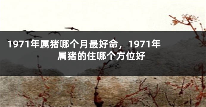 1971年属猪哪个月最好命，1971年属猪的住哪个方位好
