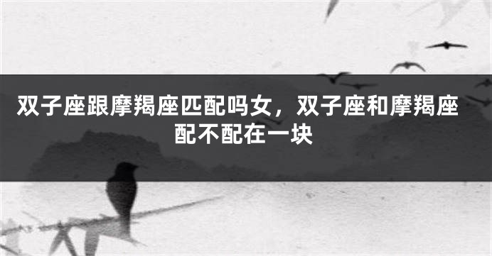 双子座跟摩羯座匹配吗女，双子座和摩羯座配不配在一块