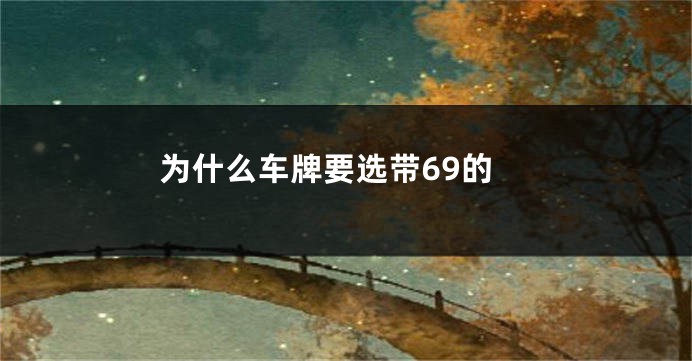 为什么车牌要选带69的