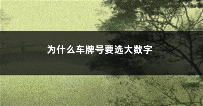 为什么车牌号要选大数字