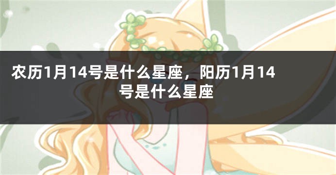农历1月14号是什么星座，阳历1月14号是什么星座