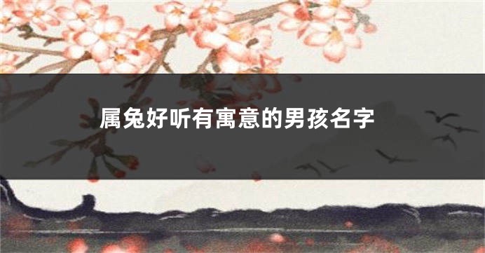 属兔好听有寓意的男孩名字