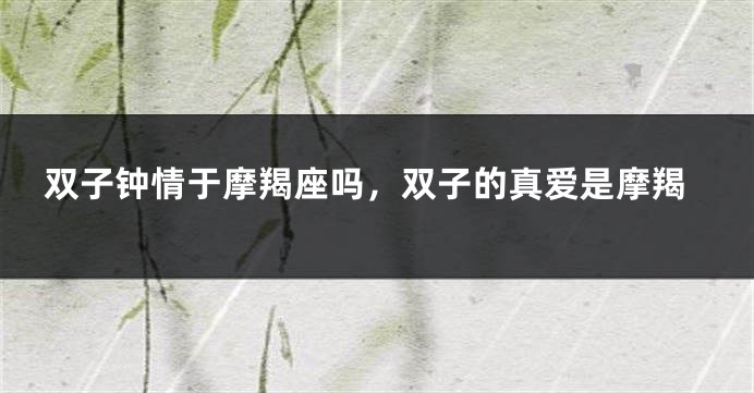 双子钟情于摩羯座吗，双子的真爱是摩羯