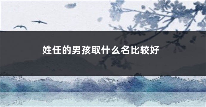 姓任的男孩取什么名比较好