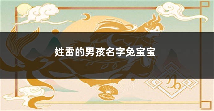 姓雷的男孩名字兔宝宝