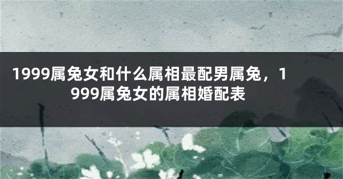 1999属兔女和什么属相最配男属兔，1999属兔女的属相婚配表