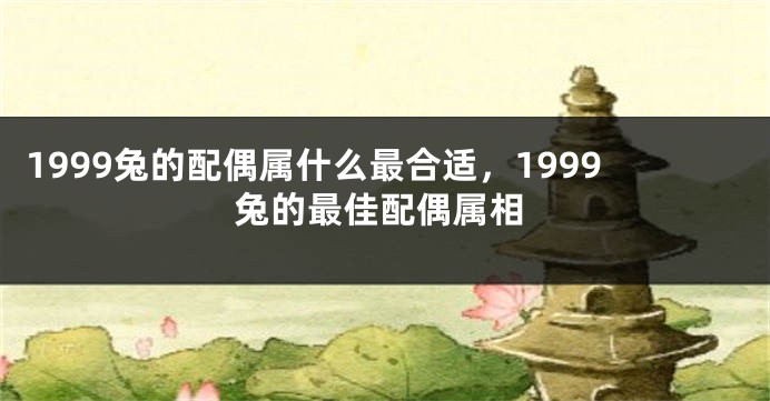 1999兔的配偶属什么最合适，1999兔的最佳配偶属相