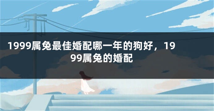 1999属兔最佳婚配哪一年的狗好，1999属兔的婚配