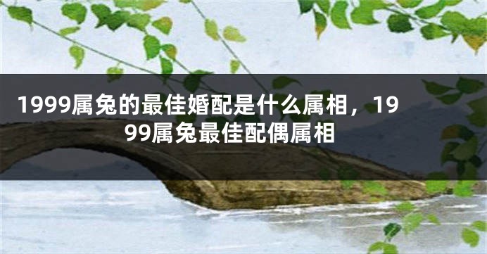 1999属兔的最佳婚配是什么属相，1999属兔最佳配偶属相