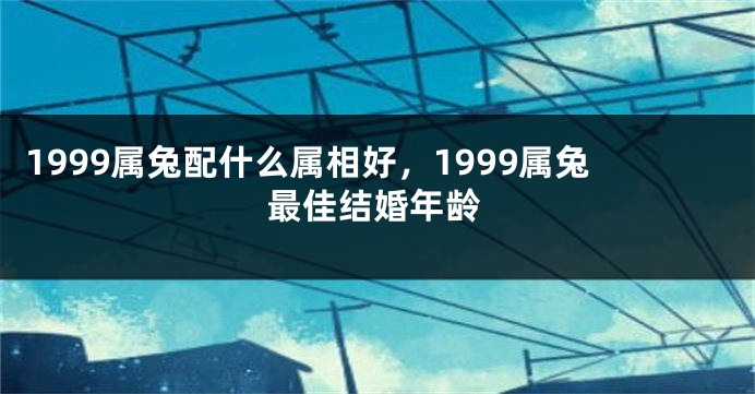 1999属兔配什么属相好，1999属兔最佳结婚年龄