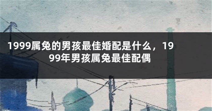 1999属兔的男孩最佳婚配是什么，1999年男孩属兔最佳配偶