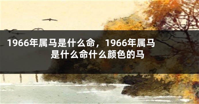 1966年属马是什么命，1966年属马是什么命什么颜色的马