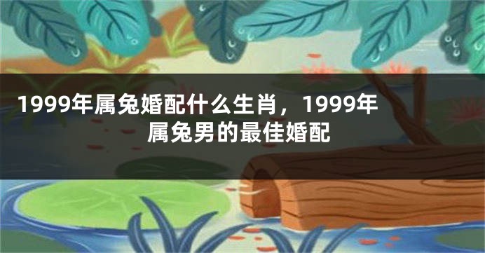 1999年属兔婚配什么生肖，1999年属兔男的最佳婚配