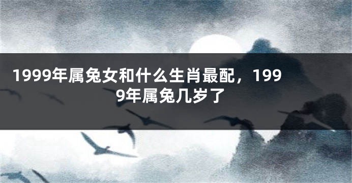 1999年属兔女和什么生肖最配，1999年属兔几岁了
