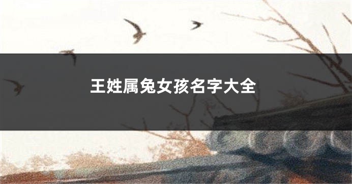 王姓属兔女孩名字大全
