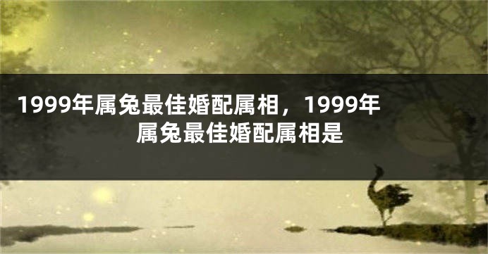 1999年属兔最佳婚配属相，1999年属兔最佳婚配属相是