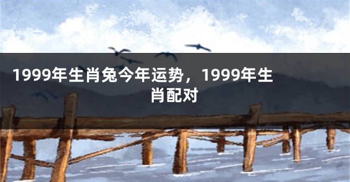 1999年生肖兔今年运势，1999年生肖配对