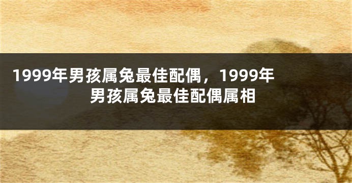 1999年男孩属兔最佳配偶，1999年男孩属兔最佳配偶属相