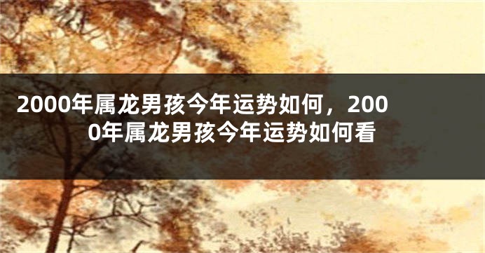2000年属龙男孩今年运势如何，2000年属龙男孩今年运势如何看