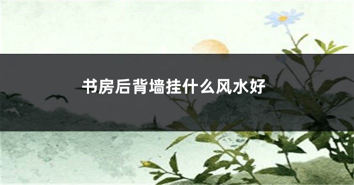 书房后背墙挂什么风水好