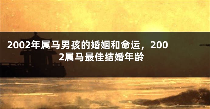 2002年属马男孩的婚姻和命运，2002属马最佳结婚年龄