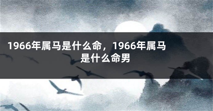 1966年属马是什么命，1966年属马是什么命男